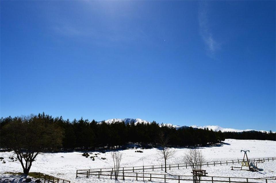 Apt Confortable Au Pied Des Pistes Et De La Foret Bolquere Pyrenees 2000 Dış mekan fotoğraf