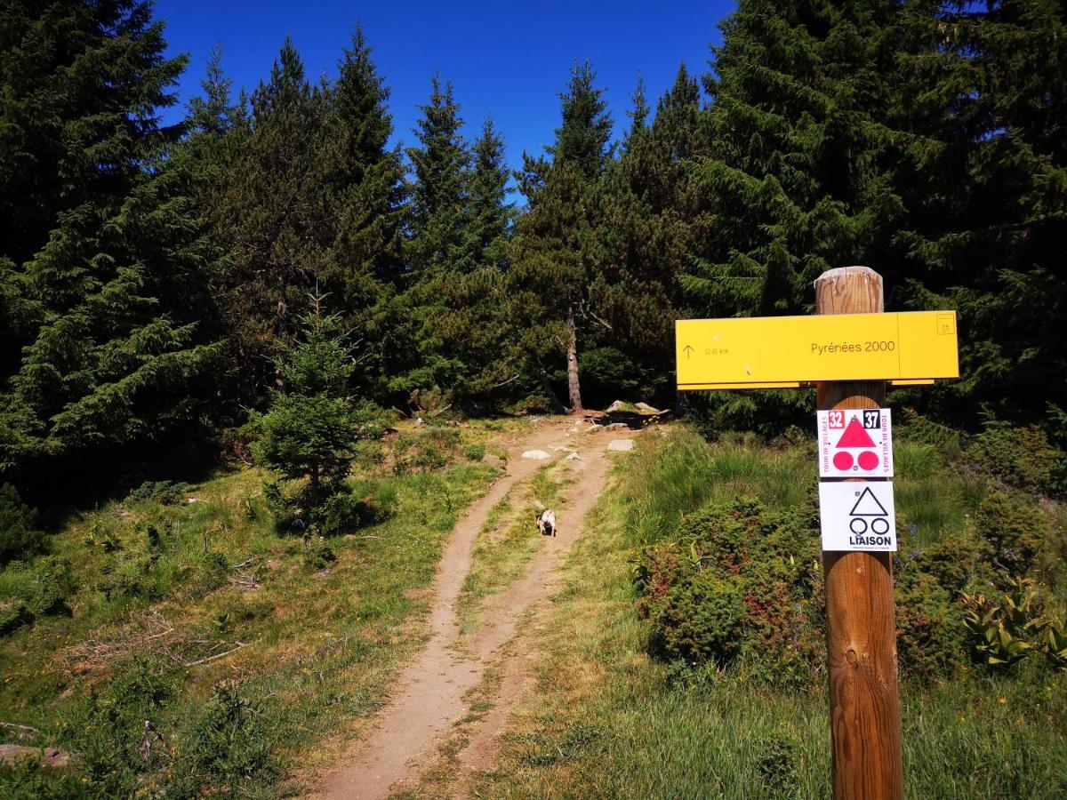 Apt Confortable Au Pied Des Pistes Et De La Foret Bolquere Pyrenees 2000 Dış mekan fotoğraf