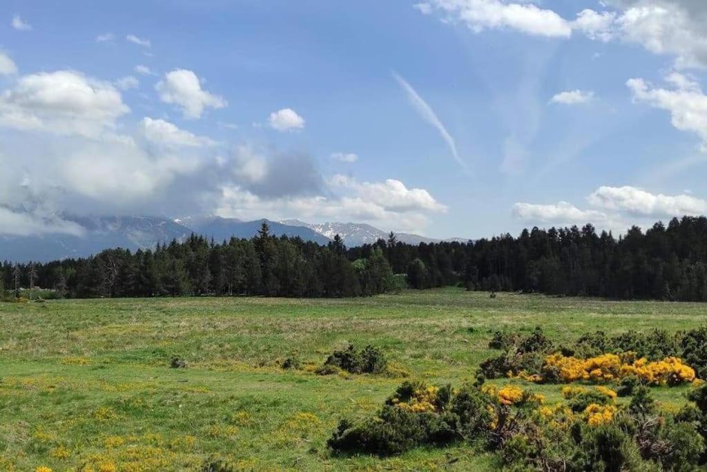 Apt Confortable Au Pied Des Pistes Et De La Foret Bolquere Pyrenees 2000 Dış mekan fotoğraf