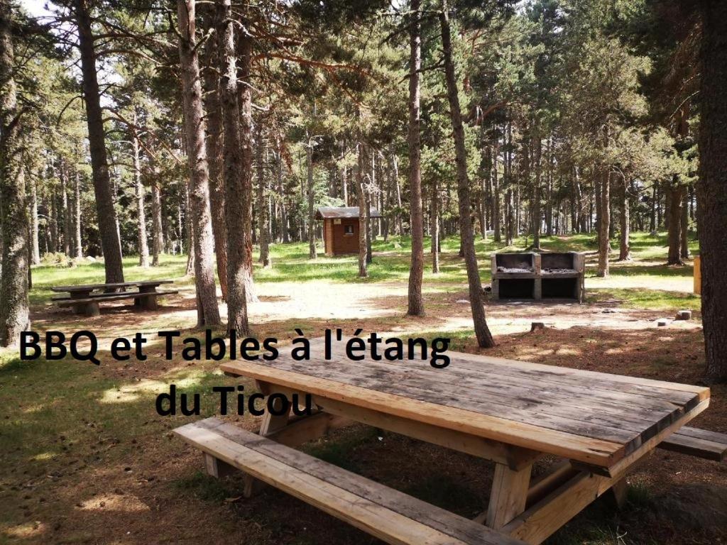 Apt Confortable Au Pied Des Pistes Et De La Foret Bolquere Pyrenees 2000 Dış mekan fotoğraf